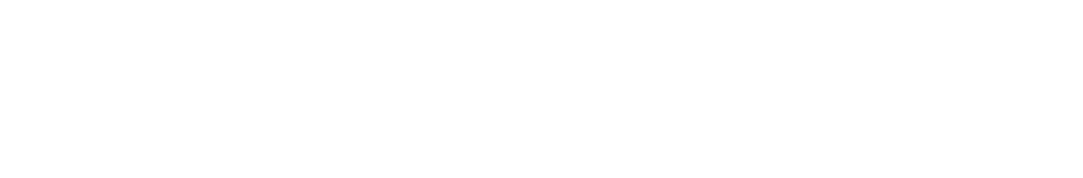 light logo